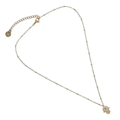 Anartxy - Collana Ziklag