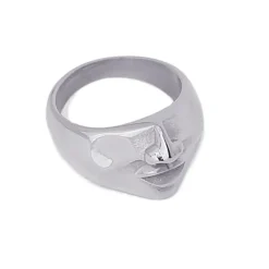 Anartxy - Anello facciale