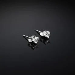 CHIARA FERRAGNI - ORECCHINI SILVER