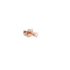Daniel Wellington - Orecchini Crystal Stud Rose Gold