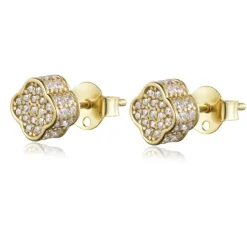 Evideence - Orecchini zirconi