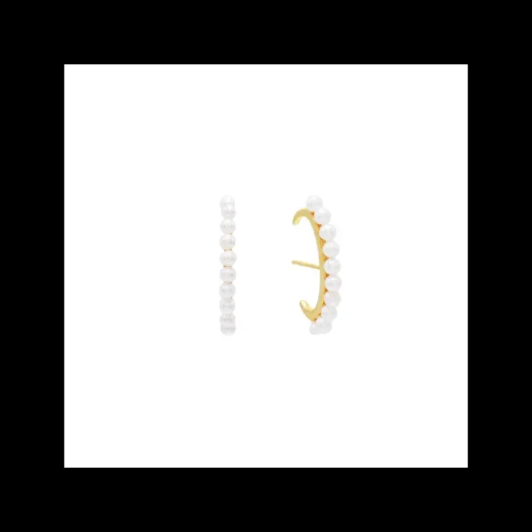 LAURA P. ORECCHINI PERLA