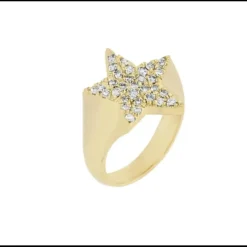 LAUREN P. ANELLO CHEVALIER STELLA